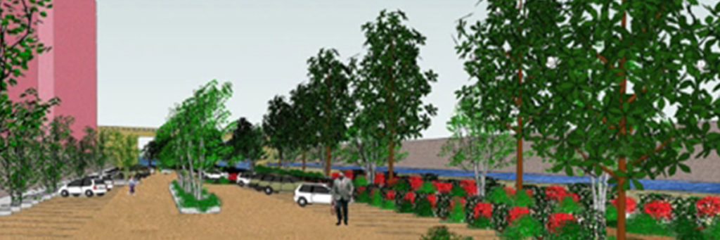 Parking Lot for Institute of Business Management