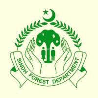 Official partner of Komal Parvez